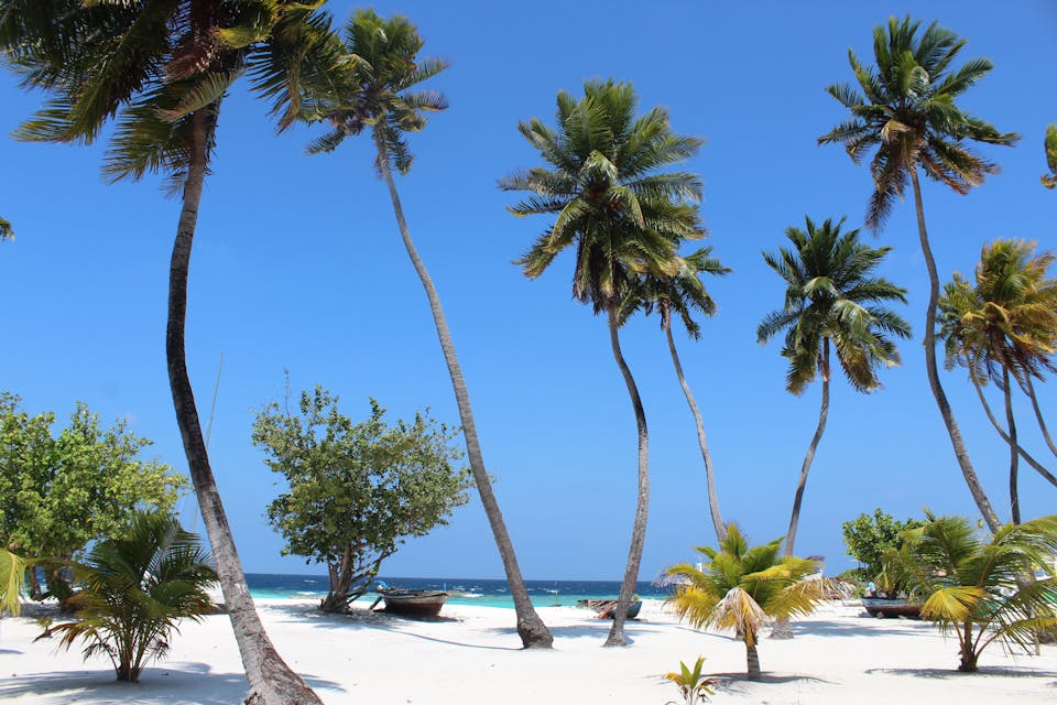 vol vers la martinique 1