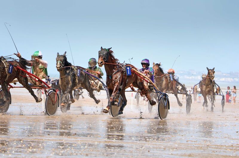 course hippique
